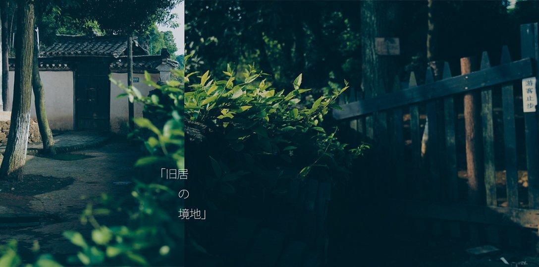 射击红色鸟