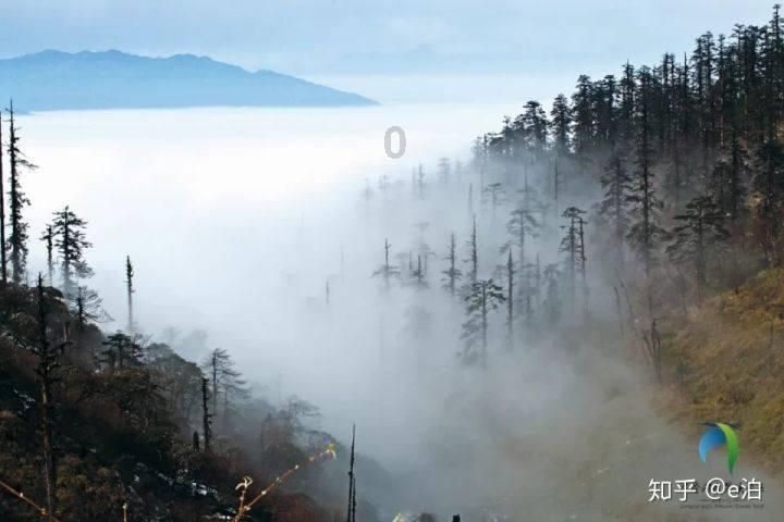 向着幸福，一路奔跑——湖南二十年接力写好“民生答卷”的温暖故事