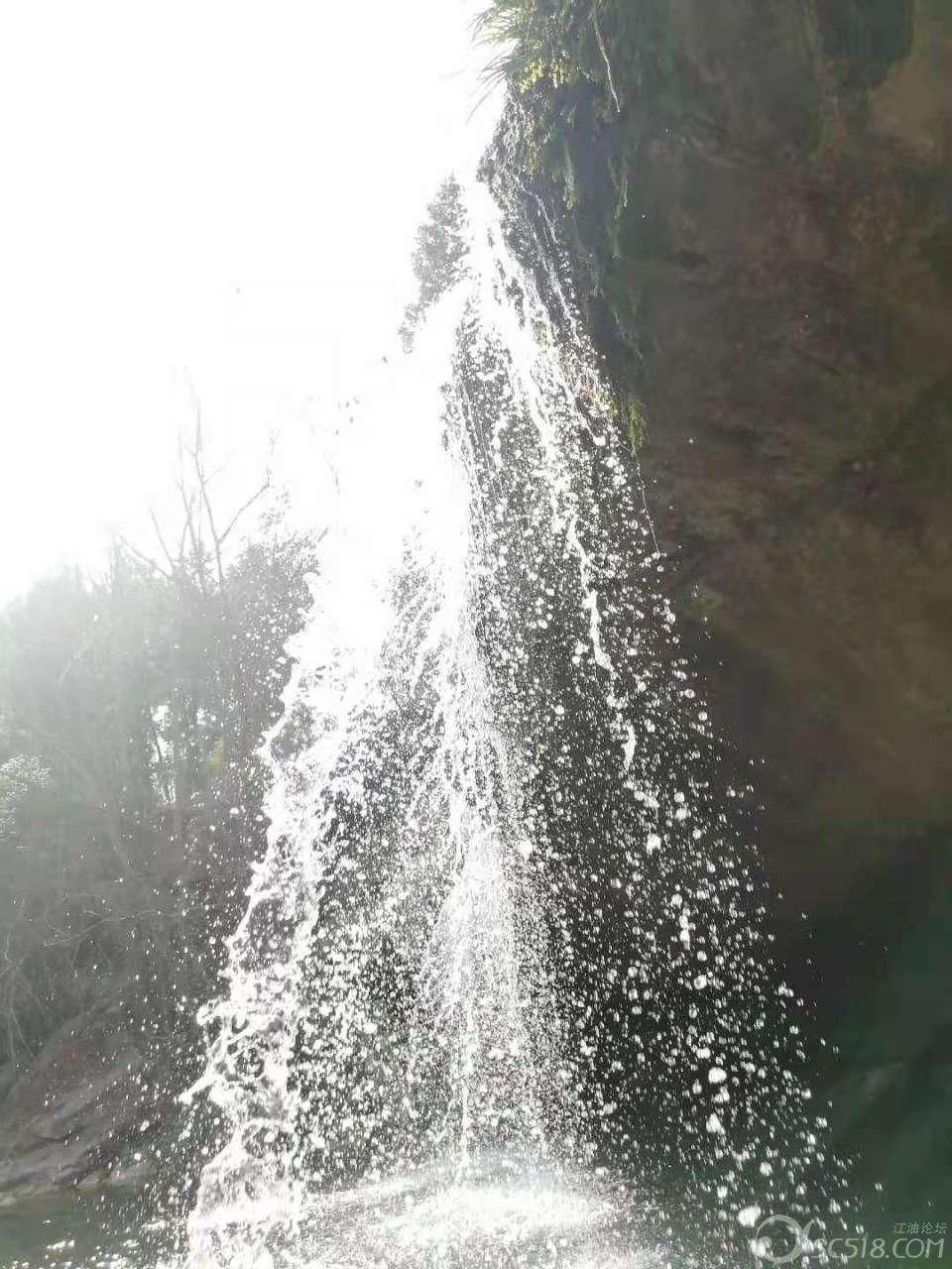 营救小乌龟