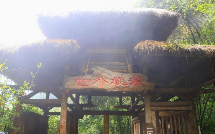 甜梦奇缘