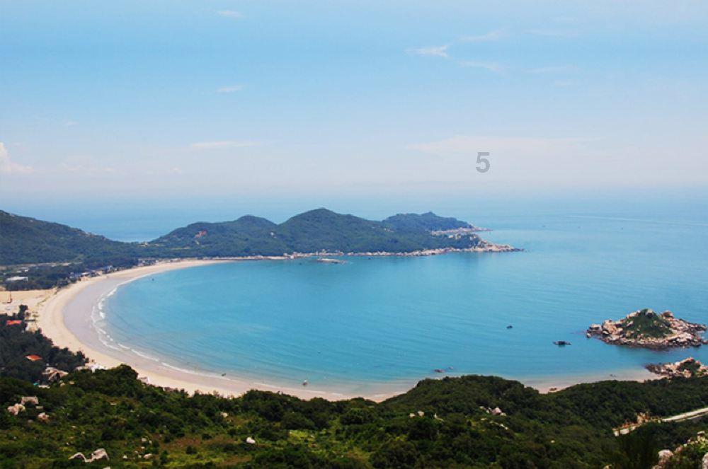 泡沫森林