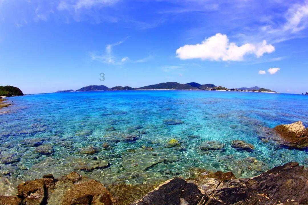 国家急救日 全民学急救