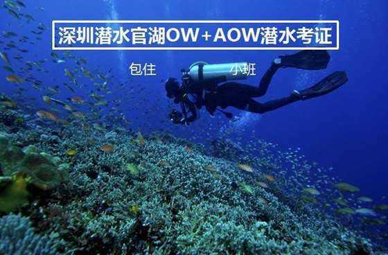 参加居民医保能享受哪些待遇?