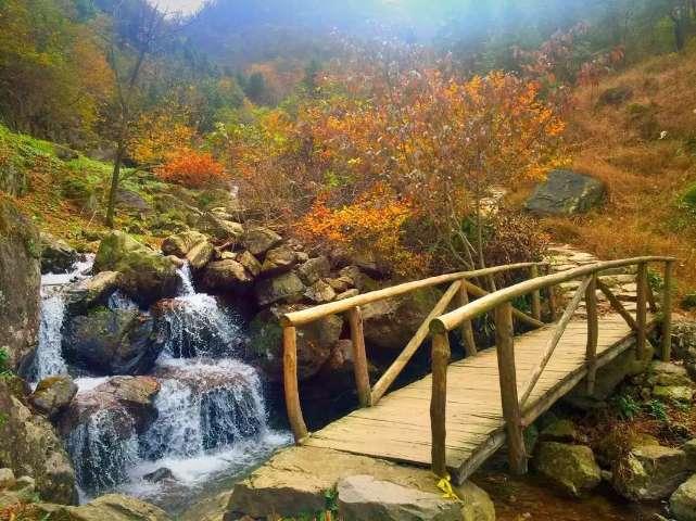 棋子的战争