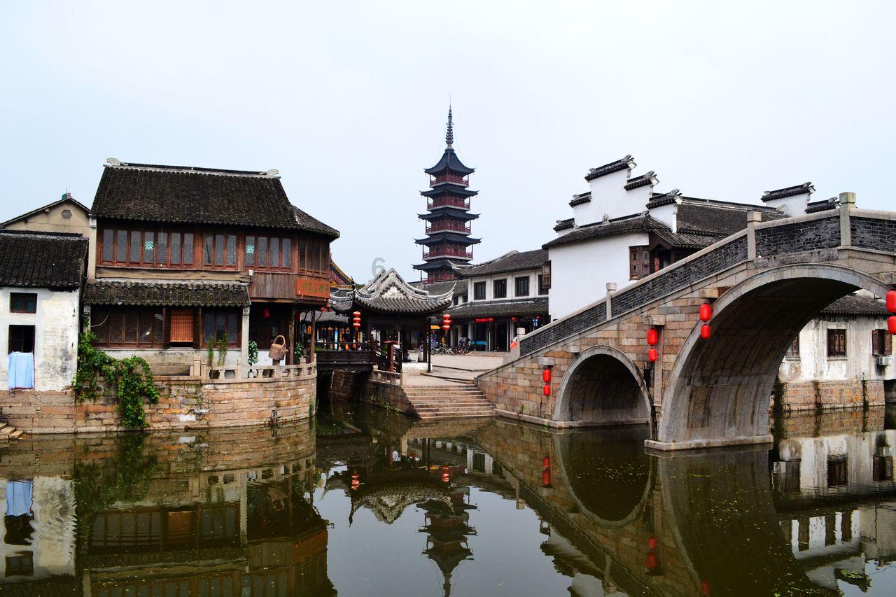 解救可爱的鸭子